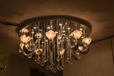 Dolphin Designer Surface Mounted LED Crystal Chandelier